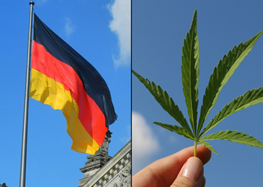 germania's il prossimo governo mira a legalizzare la cannabis ricreativa

