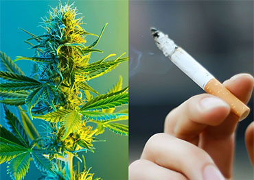 L'uso di marijuana sta superando l'uso di sigarette per la prima volta