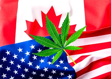 2022 nuovo anno, nuove normative aggiornate sull'industria della cannabis negli Stati Uniti e in Canada
