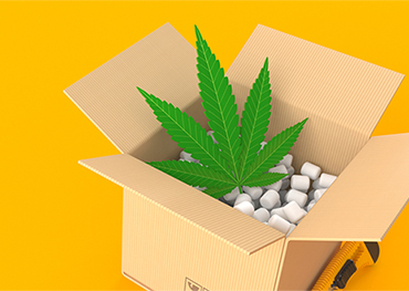 L'industria degli imballaggi di cannabis dovrebbe raggiungere un valore di mercato di circa 20,41 miliardi di dollari entro il 2025