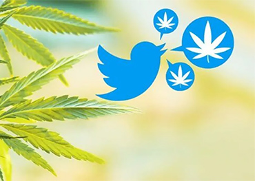 Twitter per consentire la pubblicità della cannabis