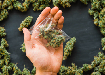 Rapporto sul mercato globale degli imballaggi di cannabis 2021