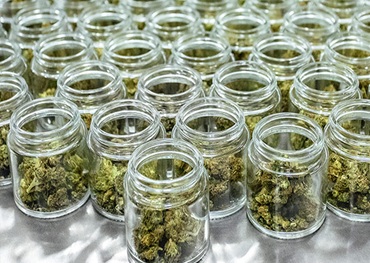 Breakthrough research at the 2025 European Congress of Psychiatry: Cannabidiol (CBD) can relieve symptoms of autism in adolescents and improve social skills without side effects
