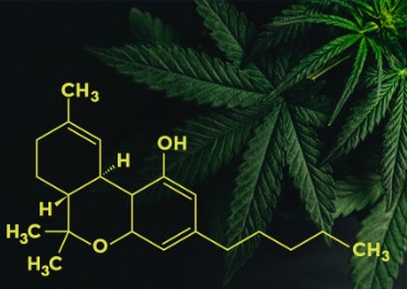 La Camera della Pennsylvania approva un disegno di legge per legalizzare la marijuana ricreativa