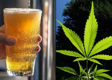 Il consumo canadese di birra viene gradualmente sostituito da quello di cannabis e il mercato statunitense delle sigarette è stato superato dalla cannabis