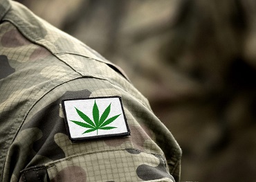 Il comitato della Camera esaminerà la legge sulla ricerca sui benefici della marijuana medica per i veterani