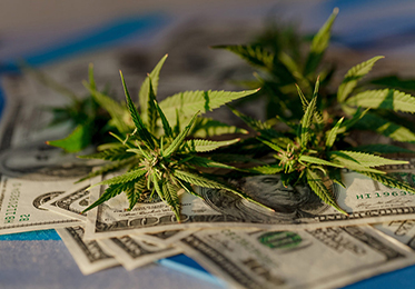 Altri Stati stanziano entrate fiscali sulla cannabis per l'equità sociale