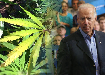 dopo l'elezione Joe Biden probabilmente promuove la legalizzazione della cannabis a livello federale