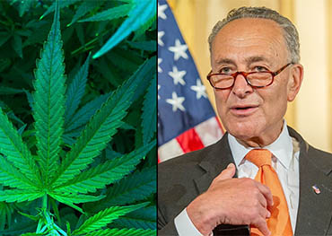 la legalizzazione federale della cannabis si avvicina !u.S.i democratici del senato lanciano un progetto di legge per legalizzare l'erba