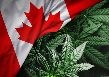 Mercato canadese di cannabis.