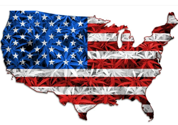 In che modo la riprogrammazione della marijuana da parte di Biden potrebbe influenzare l'industria statunitense
