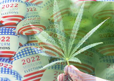 Influenza di metà mandato degli Stati Uniti sulla legalizzazione della marijuana USA sul ballottaggio in cinque stati
