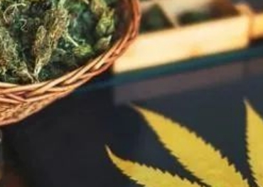 Selling a new beverage worth $310000 per week! This brand conquered the US market through TikTok using marijuana ingredients